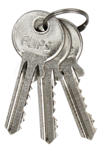 VZ RI RV.ELIPS.50